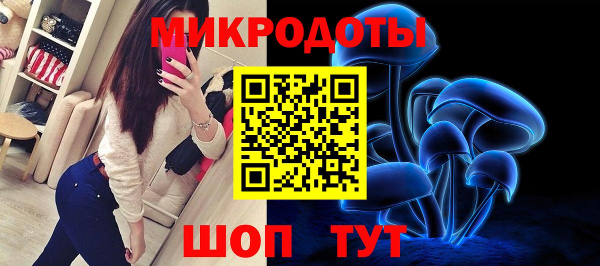 Псилоцибиновые грибы Psilocybine cubensis  Вход с VPN  Верхняя Пышма 