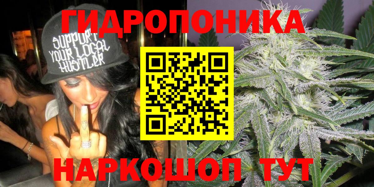 Шишки марихуана гибрид  Вход с VPN  Верхняя Пышма  Бошки марихуана план  Шишки марихуана White Widow  Бошки Шишки индика 
